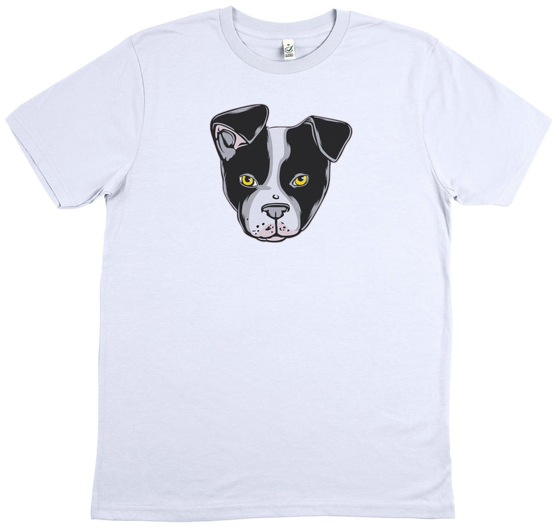 BOSTON TERRIER