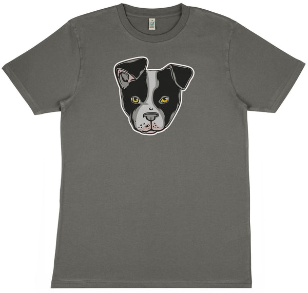 BOSTON TERRIER