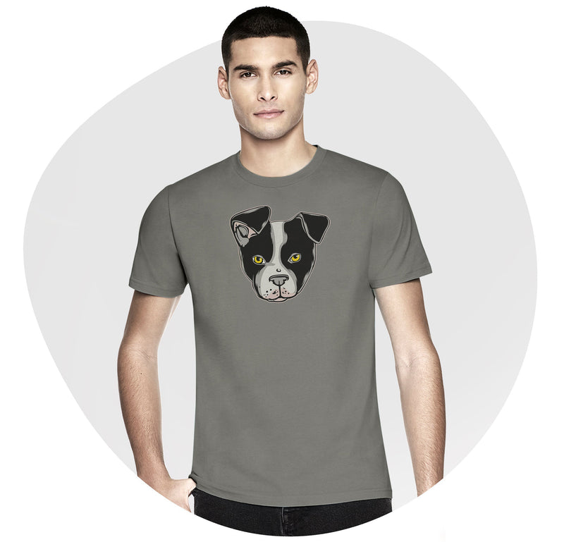 BOSTON TERRIER